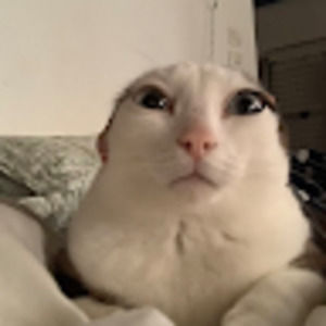 Meet your Posher, Mason